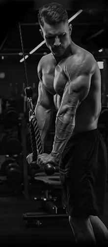 imgi_100_ilustra-definicao-muscular